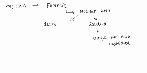 how-is-mitochondrial-dna-mtdna-typing-used-in-forensic-science-35857