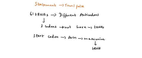 the-stop-codons-do-not-have-corresponding-trnas-true-false-04886