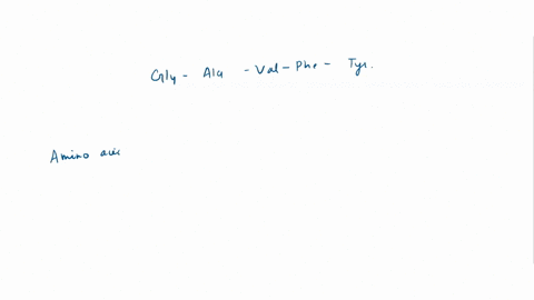 which-amino-acid-is-the-n-terminal-group-in-the-following-peptide-gly-ala-val-phe-tyr-ala-val-gly-89076