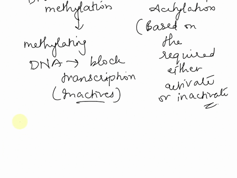 we-discussed-two-different-types-of-epigenetic-marks-or-tags-in-lecture-usually-inactivates-genes-while-can-activate-or-inactivate-genes-tho-hypothesis-suggests-that-there-are-opposing-evolu-58759