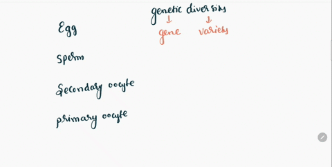 q-which-single-cell-contains-the-most-genetic-diversity-a-secondary-oocyte-b-primary-oocyte-c-sperm-d-egg-69307