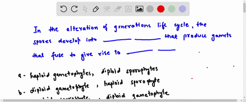 in-an-alternation-of-generations-life-cycle-spores-developinto____________-that-produce-gametes-that-fuse-to-giverise-to__________-a-haploid-gametophytes-diploid-sporophytesb-diploid-gametop-18273