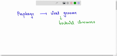 what-is-a-prophage-a-viral-genome-that-has-inserted-into-a-bacterial-chromosome-b-viral-genome-that-has-inserted-into-plant-or-animal-genome-c-viral-components-that-have-not-been-assembled-y-69454