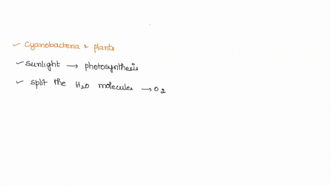 process-used-by-cyanobacteria-and-both-of-these-use-the-energy-of-photosynthesis-convert-from-the-air-into-caroon-dioxide-respiration-sunlight-glucose-inorganic-molecules-plants-and-submit-c-23416