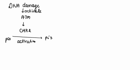 d-you-determine-that-growth-factor-binding-to-this-receptor-ultimately-results-in-the-activation-of-the-g1-cyclin-cdk4-complex-which-phosphorylates-and-thereby-inactivates-rb-this-leads-to-t-29976