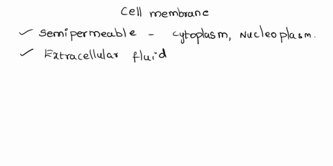 what-is-the-purpose-of-the-cell-membrane-89143
