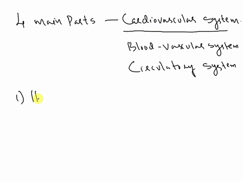 what-are-the-4-main-parts-of-the-cardiovascular-system-59645