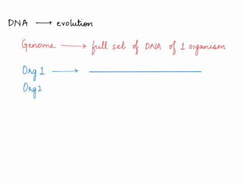 why-is-dna-important-for-understanding-evolution-07819