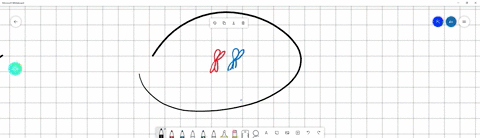 which-of-the-following-statements-best-describes-cells-that-are-in-prophase-select-one-the-chromosomes-are-not-condensed-and-begin-to-move-toward-the-metaphase-plate-b-there-is-no-nuclear-en-95006