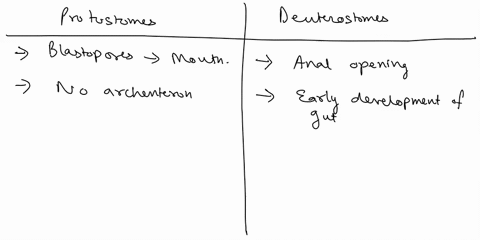 what-isare-the-differences-between-protostomes-and-deuterostomes-include-examples-15068