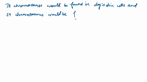 if-an-intestinal-cell-in-a-dog-contains-78-chromosomes-a-dog-sperm-cell-would-contain_________chromo-08783