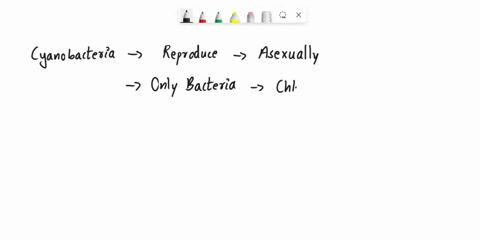cyanobacteria-are-notable-because-they-a-can-reproduce-sexually-are-the-only-group-of-photosynthetic-bacteria-use-chlorophyll-a-and-release-oxygen-during-photosynthesis_-are-obligate-aerobes-72392