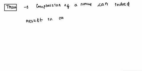 compression-of-a-nerve-results-in-compromised-blood-flow-between-the-fascicles-of-axons-this-can-result-in-numbness-or-a-tingling-sensation-true-o-false-72457