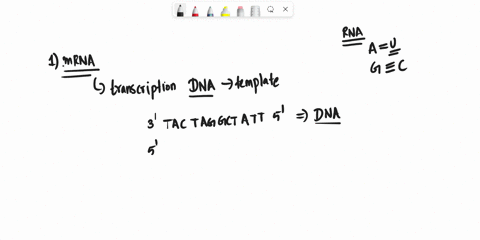 21d0380-c900-pletenbiznhelucu-wu-tyiocte-uui-cystene-wc-fha-ucc-serta-wc-ucc-ds-ua-leucine-uca-stop-oxn-stop-mxtn-wg-ucg-ed-teghan-cu-ccu-cau-his-dne-cgui-ac-leucine-ccc-protna-c-his-cgc-non-39888