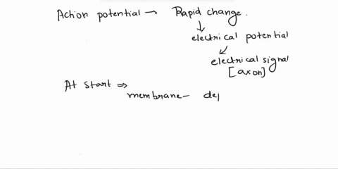 true-or-falseduring-an-action-potential-positive-ions-move-into-the-cell-as-the-depolarization-spreads-down-the-axon-77742