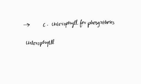 which-of-the-followingis-not-an-adaptation-that-distinguish-land-plants-from-algae-a-waxy-cuticle-on-air-exposed-surfaces-b-specialized-water-transporting-tissues-c-chorophyll-for-photosynth-44395