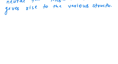 fill-in-the-table-below-with-the-number-of-somite-pairs-chick-you-can-see-in-the-embryo-slides-stage-somite-pairs-list-some-physical-characteristics-that-the-chick-embryos-have-in-common-whi-32177