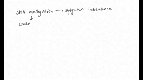 the-chemical-modification-of-dna-such-as-cytosine-methylation-thats-inheritable-is-called-_________-a-dominance-b-post-translational-modification-c-epigenetics-d-post-transcriptional-modific-83624