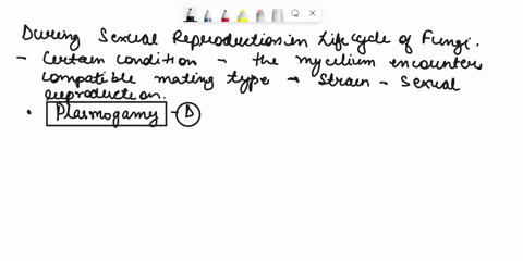 het-pndducnor-txio-nt-please-fill-in-the-structure-a-or-process-b-d-for-each-blank-68209
