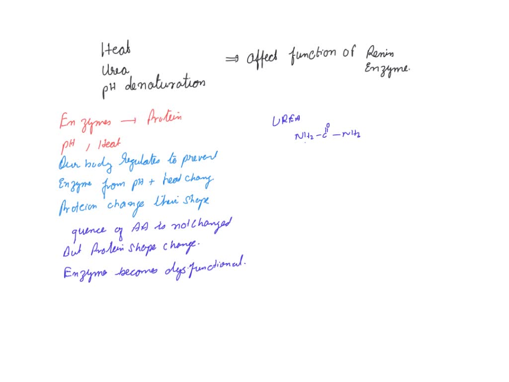SOLVED explain how heat, urea, and pH denaturation affect the function
