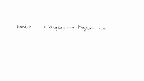 orders-are-divided-into-classes-phyla-kingdoms-domains-species-28586