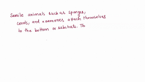 animals-that-remain-attached-to-a-substrate-for-most-of-their-lives-68643