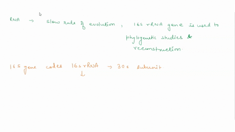 1-why-and-how-is-the-gene-for-small-subunit-ribosomal-rna-ssu-16s-rrna-used-to-determine-molecular-phylogeny-2-halophiles-require-high-salt-concentrations-to-survive-provide-a-mechanism-invo-04462