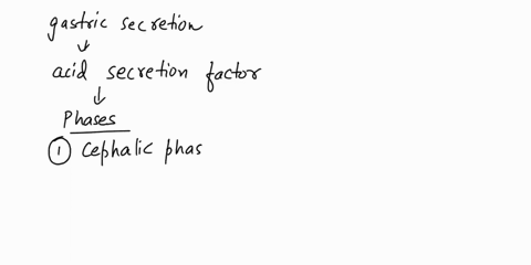 describe-the-3-phases-of-control-of-gastric-gland-activity-04234