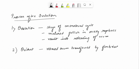 what-would-happen-if-after-ovulation-the-ovum-failed-to-progress-down-the-oviduct-a-regression-of-cl-restart-of-the-cycle-b-gestational-anestrus-c-ovulation-of-a-new-follicle-60627