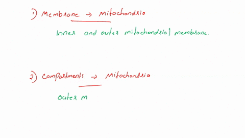 what-are-the-compartments-and-membranes-that-make-up-chloroplasts-and-mitochondria-87596