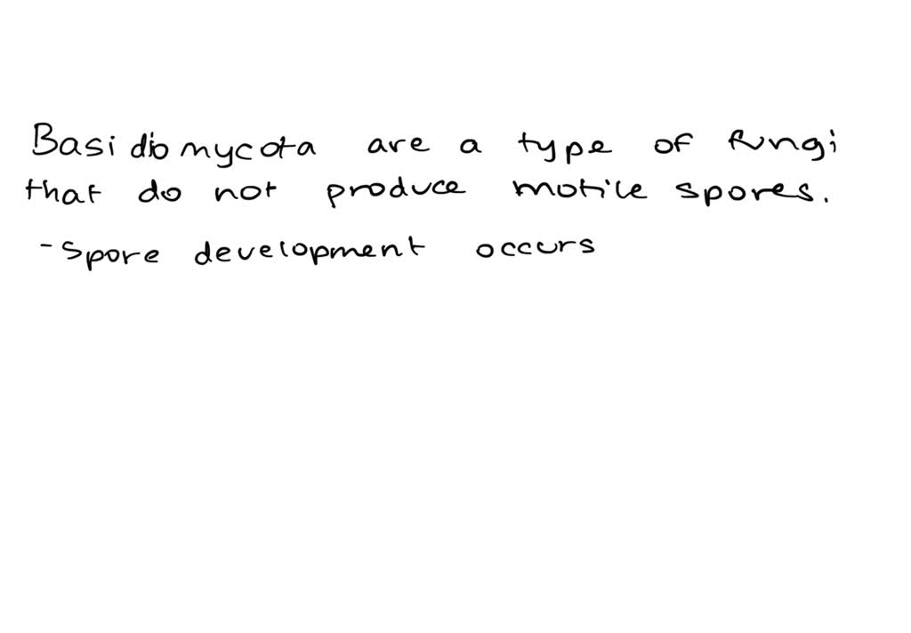 SOLVED Which phyla of fungi generally does not produce motile spores