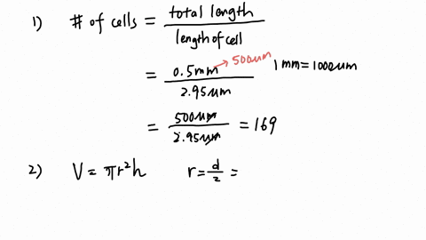 a-escherichia-coli-cells-are-about-295-um-long-and-0745-um-in-diameter-i-how-many-e-coli-cells-laid-end-to-end-would-fit-across-a-pinhead-of-diameter-05-mm-number-of-cells-cells-ii-calculate-95697