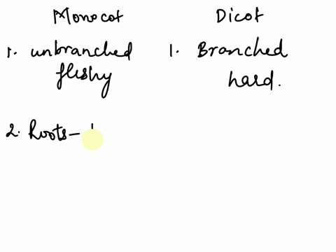 1-differentiate-monocot-and-dicot-stem-2-differentiate-monocot-and-dicot-root-3-differentiate-monocot-and-dicot-leaf-73552