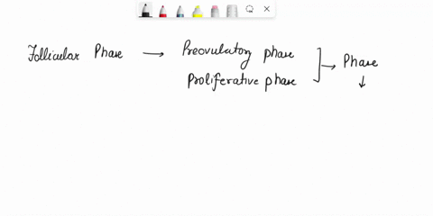 which-phases-of-the-menstrual-cycle-occur-during-the-follicular-phase-of-the-ovarian-cycle-check-all-tfal-sxpls-check-all-that-apply-menstrual-phase-proliferative-phase-secretory-phase-preme-42236