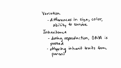 evolution-of-life-notes