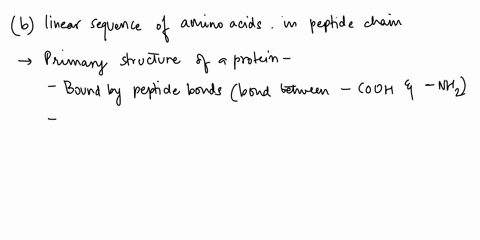 an-amino-acid-that-has-an-amide-group-in-its-side-chain-is-glutamine-b-lysine-serine-d-cysteine-histidine-the-pk_for-the-amino-group-of-glycine-is-98_-of-100-molecules-of-glycine-at-ph-98-ho-25687