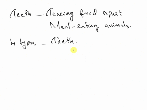 which-teeth-are-used-for-tearing-food-apart-and-are-obvious-in-meat-eating-animals-36668