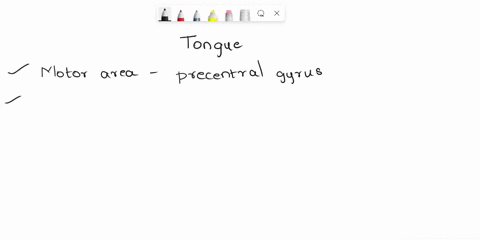 question-13-the-motor-actions-of-the-tongue-and-swallowing-are-controlled-by-the-opons-o-mamillary-bodies-o-cerebral-nuclei-o-thalamus-ofornix-54234