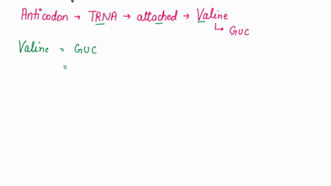 what-would-be-the-anticodon-on-a-trna-which-is-attached-to-the-amino-acid-valine-the-code-for-valine-is-guc-72048