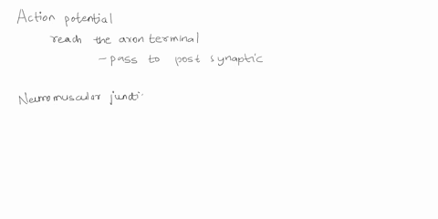 what-occurs-when-an-action-potential-reaches-the-axon-terminal-of-a-neuron-olase-gated-c3-channels-open-temuotrnsmitter-is-packaged-into-synaptic-vesicles-naurotransmitter-binds-to-ligand-ga-76007
