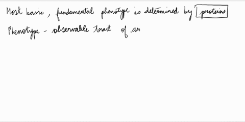 what-is-an-organisms-most-basic-fundamental-phenotype-a-carbohydrates-b-nucleic-acids-c-proteins-d-lipids-24462