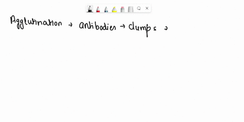 which-antibody-active-is-not-an-agglutination-or-clumping-of-antigens-is-a-iga-b-igm-c-igg-d-igd-87532