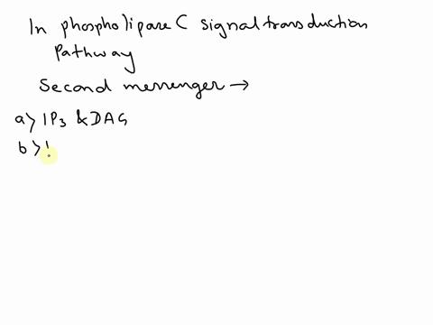 30-in-the-phospholipase-c-signal-transduction-pathway-which-two-second-messengers-are-produced-aipz-and-dag-b-pipz-and-ip3-camp-and-ip3-phospholipase-c-and-protein-kinase-a-phospholipase-c-a-98293