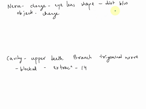 which-cranial-nerve-controls-various-physiological-responses-such-as-heart-rate-bronchiole-diameterand-gastricmotilitycleariymark-yourresponseldo-not-highlight-in-yellow-a-vagus-nerve-access-95164