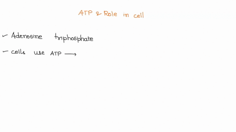 what-is-atp-and-what-is-its-role-in-the-cell-68465
