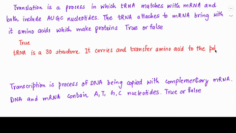 translation-is-the-process-in-which-trna-matches-with-mrna-and-both-include-au-g-c-nucleotides-the-trna-attaches-to-the-mrna-bringing-with-it-the-amino-acids-which-make-polypeptides-or-prote-59384