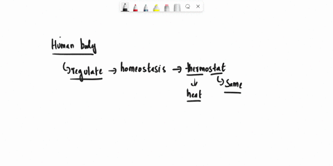 the-inside-temperature-of-some-homes-is-maintained-by-two-antagonist-effectors-a-heater-and-a-cooler-practice-drawing-your-own-concept-map-to-illustrate-how-a-thermostat-works-to-maintain-ro-76092