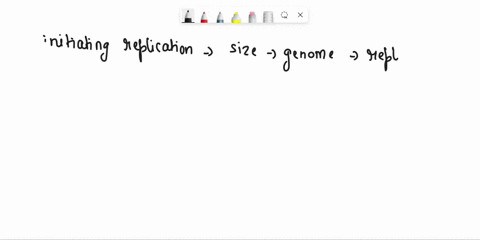 why-is-dna-replication-different-between-eukaryotes-and-prokaryotes-because-it-involves-genomes-of-different-sizes-because-replication-in-prokaryotes-only-involves-the-leading-strand-because-36045