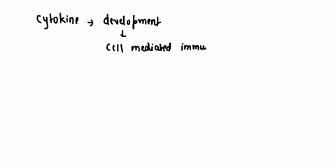 2-which-ofthe-following-cytokincs-promatea-the-devekyment-of-4-ccll-medlatcd-immune-rcponte-ail-42-tumot-necrors-fctor-inh-q-il-4-interlcukin-4-d-chemoking-24-what-e-rault-when-dendritic-cel-40876