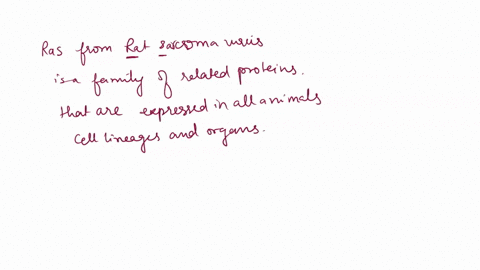 once-the-nuclear-import-receptor-is-in-the-nucleus-it-must-be-delivered-to-the-cytosol-this-process-requires-select-one-a-atp-binding-protein-rab-b-gtp-binding-protein-rab-c-gtp-binding-prot-99965